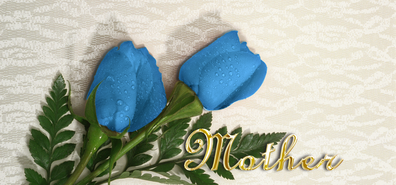 2 Roses Blue Gold Mother